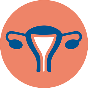 Uterus Icon