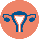 Uterus Icon